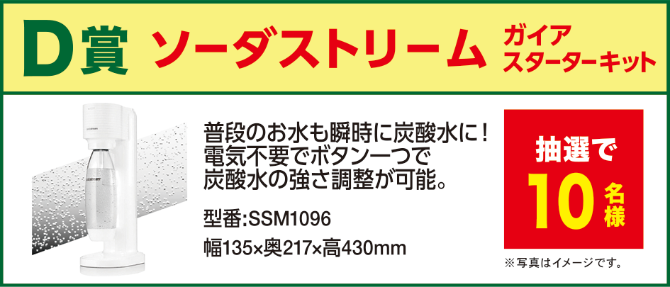 ゴーヤー弁当たべっちゃめ～キャンペーン D賞